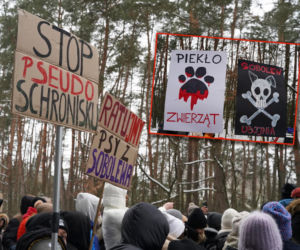 Schronisko dla psów w Sobolewie zamknięte. Jeszcze w sobotę, 24 stycznia, protestowali pod nim mieszkańcy [ZDJĘCIA].