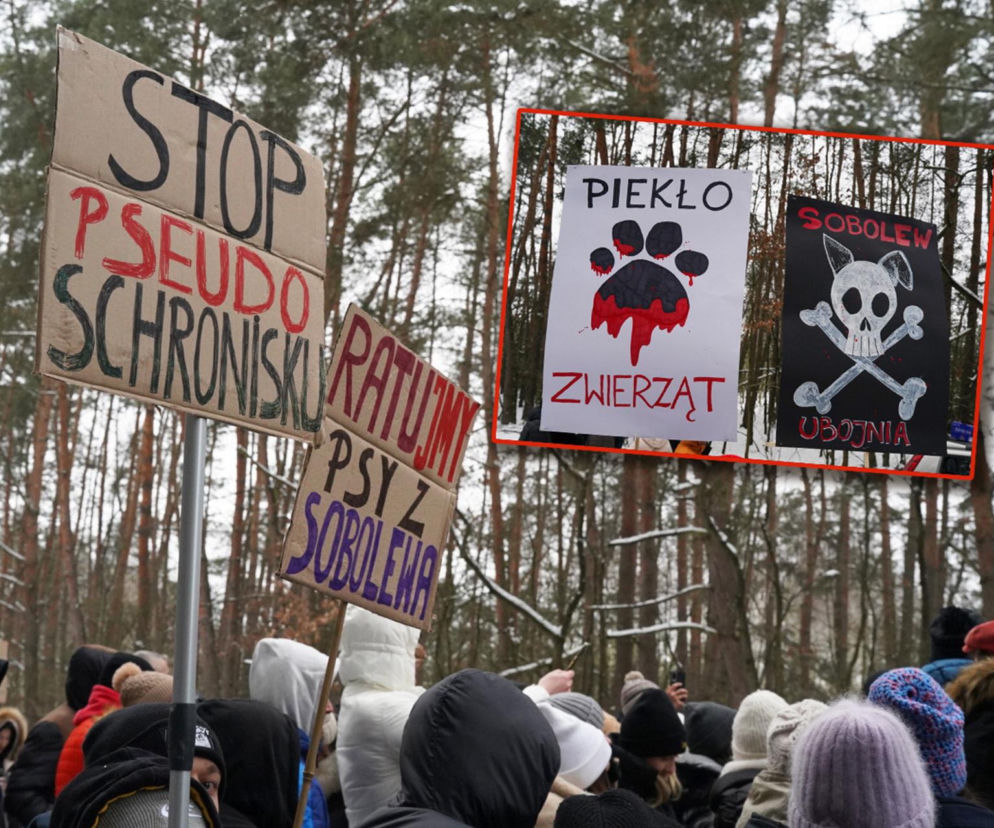 Schronisko dla psów w Sobolewie zamknięte. Jeszcze w sobotę, 24 stycznia, protestowali pod nim mieszkańcy [ZDJĘCIA].