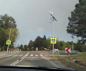 Pożar w Puszczy Solskiej. Silny wiatr utrudnia akcję