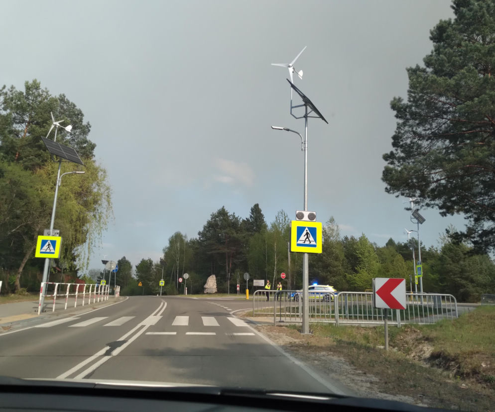 Pożar w Puszczy Białowieskiej