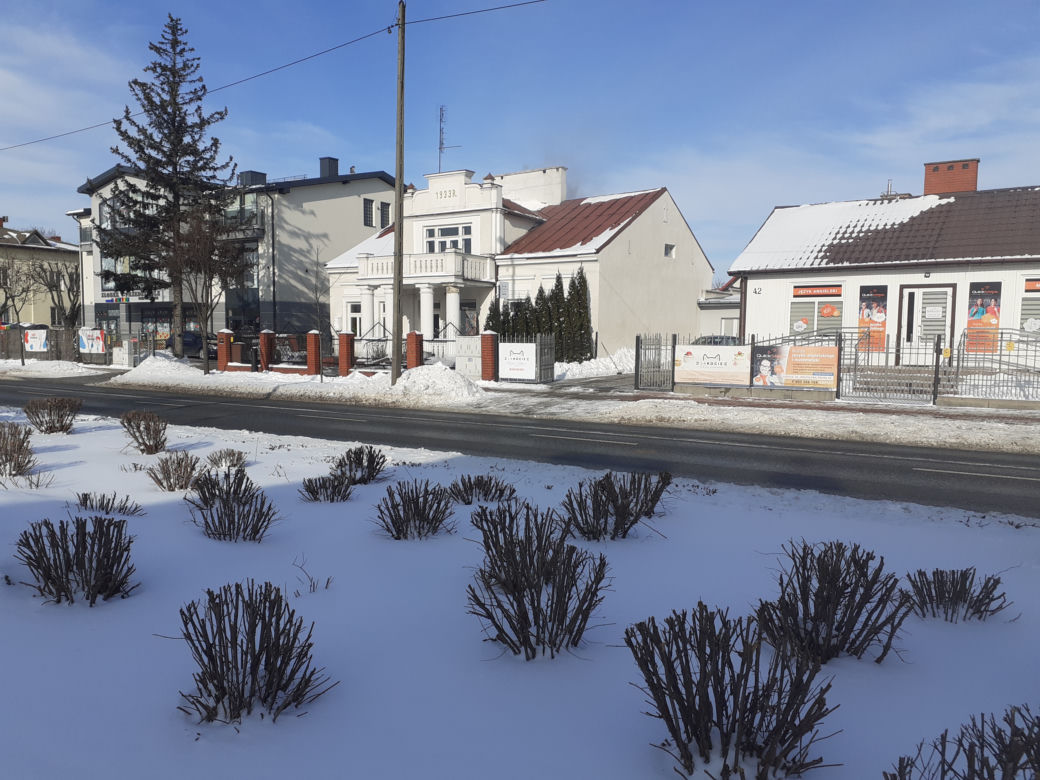 Jak wyglądała okolica ulicy Prusa w Siedlcach w połowie lutego 2021