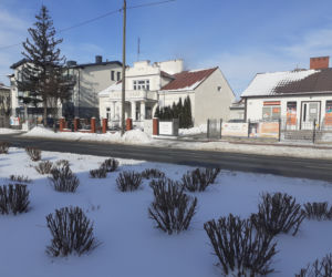 Jak wyglądała okolica ulicy Prusa w Siedlcach w połowie lutego 2021