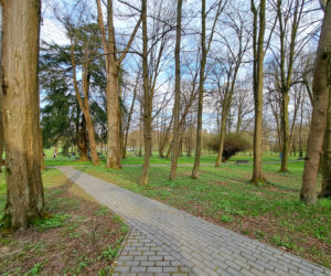 Centrum Paderewskiego w Kąśnej Dolnej