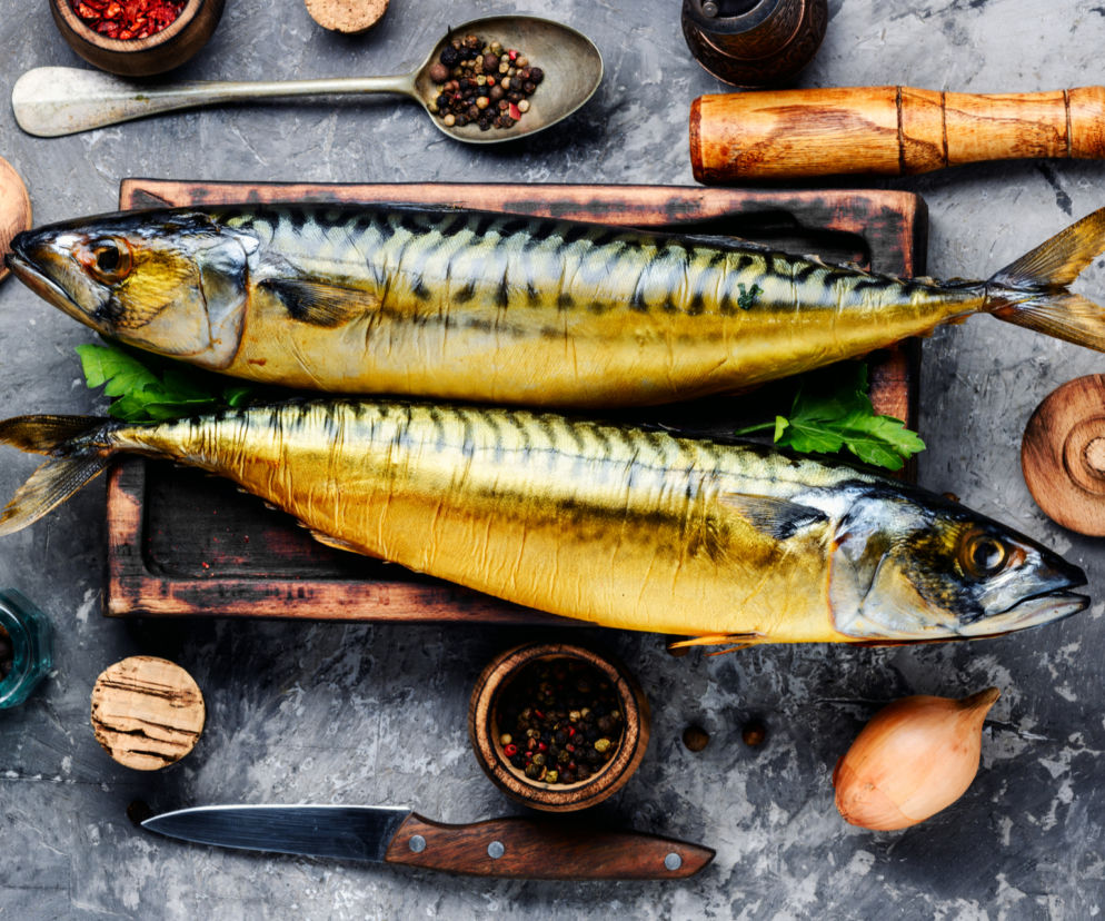 Makrela atlantycka - drogocenne źródło białka i kwasów omega-3