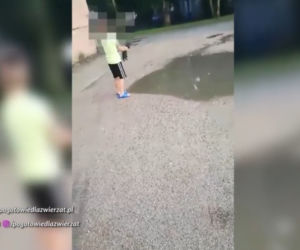 Dramat szczeniaka pod Płockiem
