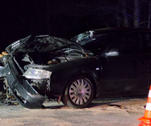 Koszmar na DK 50. 11-latka nie żyje. W auto wbiło się drzewo z ciągnika