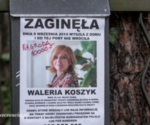 Barwy szczęścia odc. 1285. Waleria Koszyk (Ewa Ziętek)