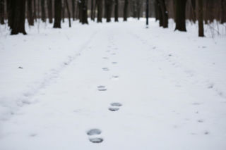 Czołgający się w śniegu mężczyzna w Rzeszowie. Jak policjanci uratowali go przed tragedią?