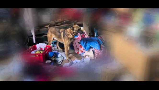 Szron wywęszył narkotyki