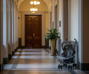 Stefanek w Sejmie. Jak maluch zmienił oblicze Wiejskiej?