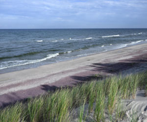 Fioletowy piasek nad Bałtykiem