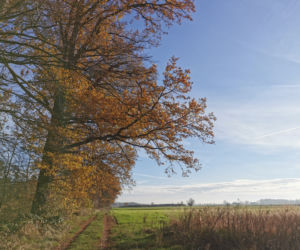 Słoneczny listopadowy poranek w Ostrowie