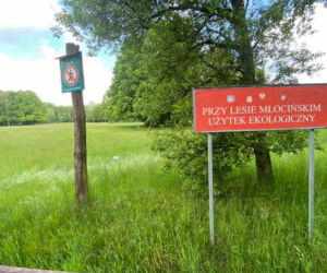 Park Młociński jak wysypisko śmieci