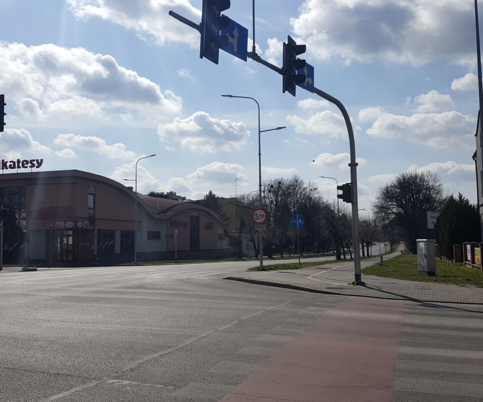 zamość