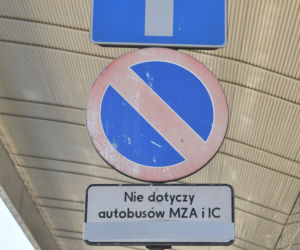 Taksówkarze wyrzuceni spod centralnego. Miejsca parkingowe stoją puste