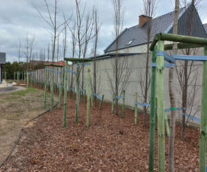 Pumptrack w Bojanoparku w Lesznie otwarty. Zobaczcie jak wygląda nowa atrakcja