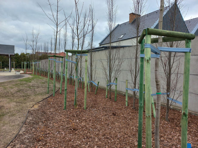 Pumptrack w Bojanoparku w Lesznie otwarty. Zobaczcie jak wygląda nowa atrakcja