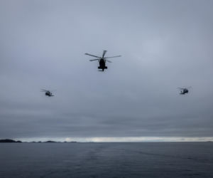 Duńskie siły morskie