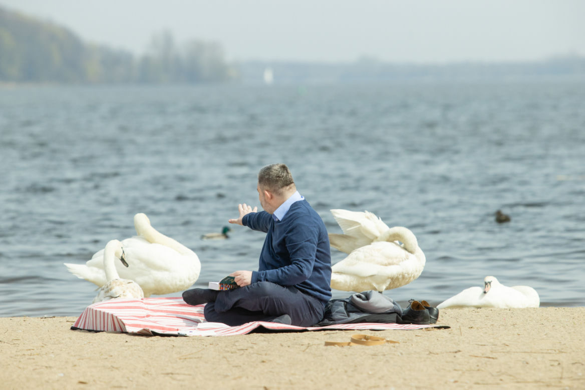 Jezioro łabędzie Karskiego 