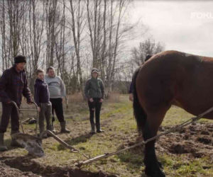Rolnicy. Podlasie 2. Co się wydarzyło w 4. odcinku? [STRESZCZENIE, POWTÓRKA]