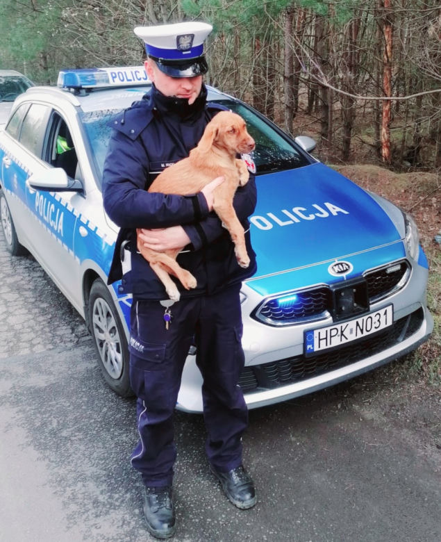 Ktoś spakował psa do reklamówki i porzucił go w lesie [GALERIA]