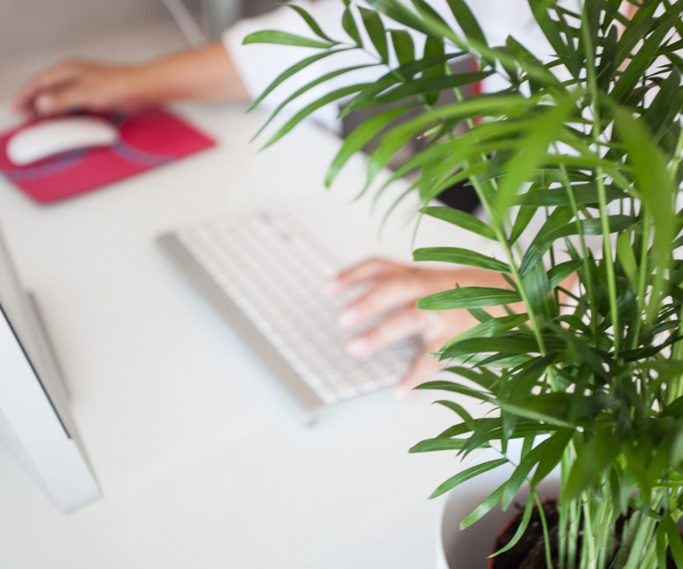 lokal