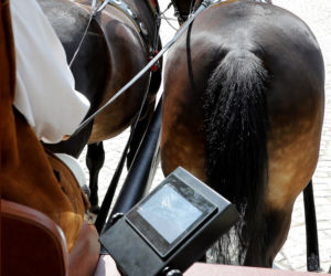 Elektryczne konie nad Morskim Okiem