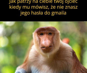 nawyki typowych ojców