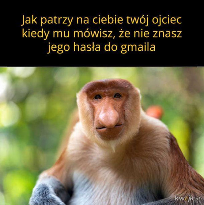 nawyki "typowych ojców"