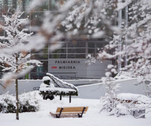 Najlepsze miejsca na spacer zimą w Śląskiem