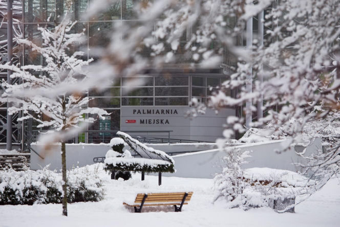 Najlepsze miejsca na spacer zimą w Śląskiem