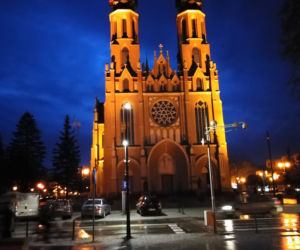 Katedra Opieki Najświętszej Maryi Panny