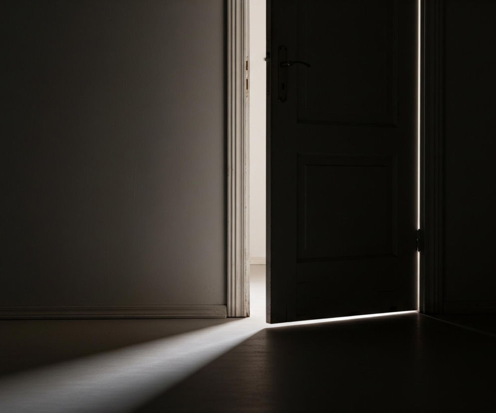 Otwarte, ciemne drzwi zajmują centralną część kadru, rozdzielając dwa pomieszczenia. Lewa strona obrazu to ciemny pokój z fragmentem ściany i listwy przypodłogowej, gdzie ukośne pasmo światła pada na podłogę. Prawa strona ukazuje część ościeżnicy i jasne wnętrze, z którego emitowane jest światło, tworząc pionowe i poziome, jasne szczeliny wokół krawędzi otwartych drzwi.