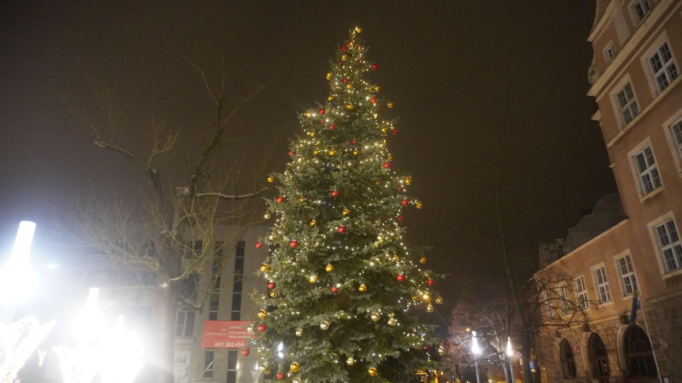 Świąteczne iluminacje w Olsztynie zachwycają. Prawdziwą „gwiazdą” jest choinka na starówce [ZDJĘCIA]