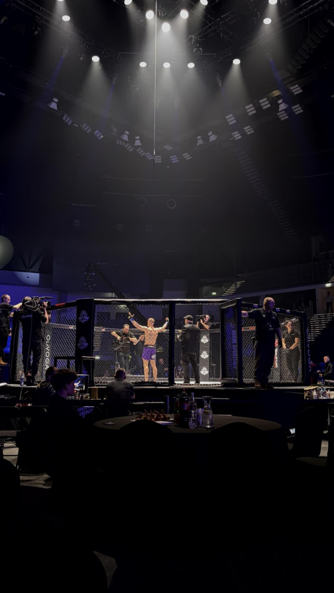 King's Arena2. Klatka i Lwy