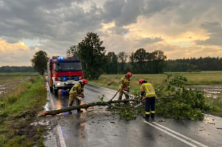Skutki burz w Wielkopolsce. Setki interwencji strażaków