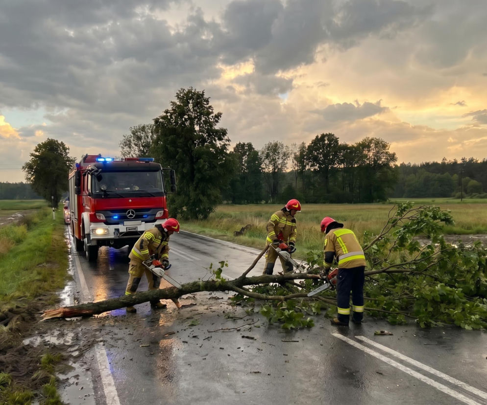 Strażacy w mundurach i hełmach z latarkami, używający pił łańcuchowych do usuwania powalonych gałęzi i pnia drzewa z mokrej, asfaltowej drogi po burzy w Wielkopolsce, obok nich czerwony wóz strażacki z włączonymi światłami, a w tle las i pola. Więcej informacji o interwencjach po nawałnicach znajdziesz na naszym portalu.