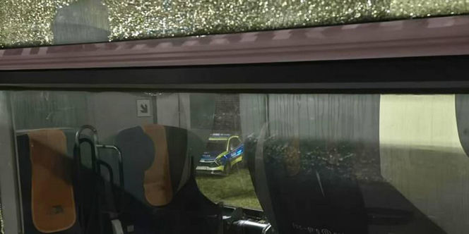 Nagłe zatrzymanie pociągu pod Puławami. Mamy zdjęcia!