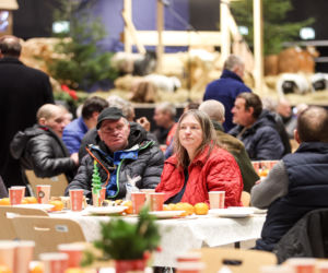 Metropolitalna Wigilia bez Samotności w Katowicach 2025