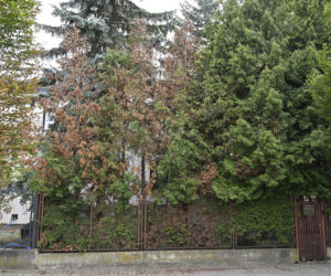 Smutny widok domu Kaczyńskiego. Willa na Żoliborzu się sypie