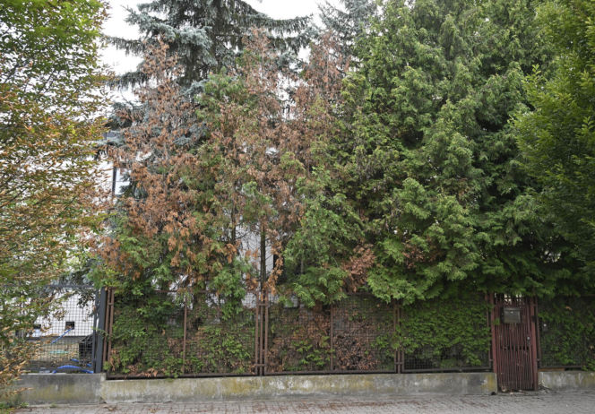 Smutny widok domu Kaczyńskiego. Willa na Żoliborzu się sypie