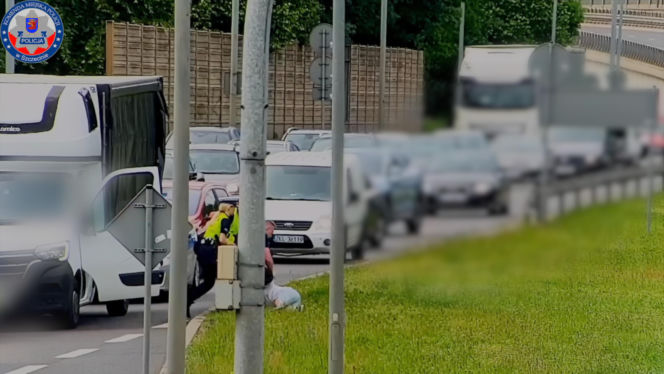 "Pożyczył" samochód dla zabawy
