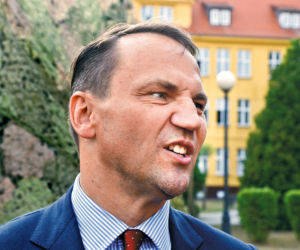 Polacy nie chcą Sikorskiego i Sienkiewicza