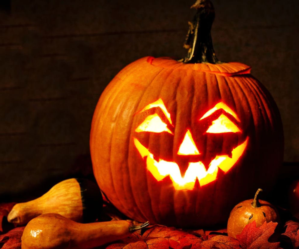 Halloween 2020: Jak świętować? Jakie są tradycje?