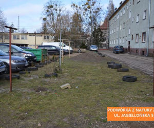 Podwórka z Natury 2021. Trzy miejsca w Olsztynie przejdą metamorfozę