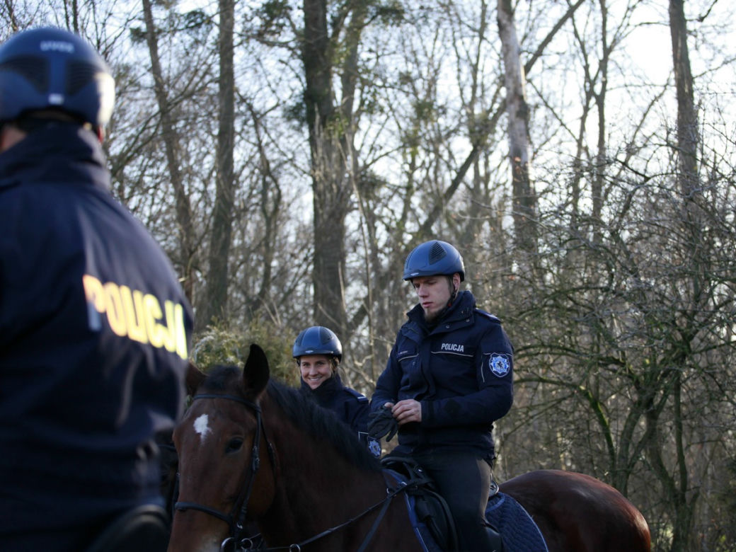 Policja konna z Poznania ma nowego współpracownika