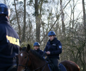 Policja konna z Poznania ma nowego współpracownika