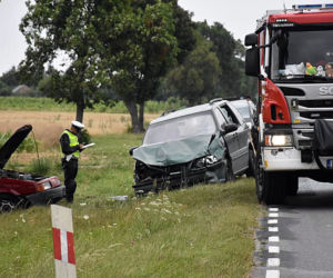 Dzieci jechały autem, zginęła 14-latka! MAKABRYCZNY wypadek na Lubelszczyźnie