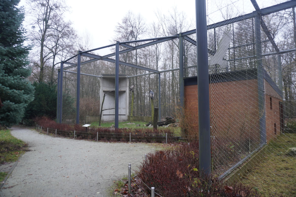 Zoo w Poznaniu zimą