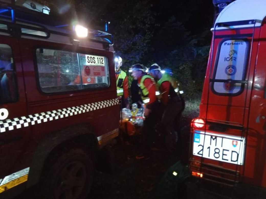 Słowacja. Niedźwiedź zaatakował biegacza. 38-latek ma obrażenia głowy, rąk i nóg 